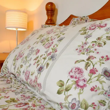 Vakantiehuis Harbour Haven Dingle